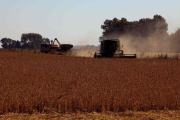 El agro argentino proyecta exportar más de US$ 10.100 millones en el último cuatrimestre de 2025