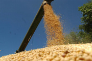 Con un crecimiento del 32% en 2025, el agro argentino consolida un sólido desempeño exportador