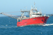 El Gobierno evalúa eliminar retenciones a la pesca para aliviar la severa crisis impositiva y financiera del sector