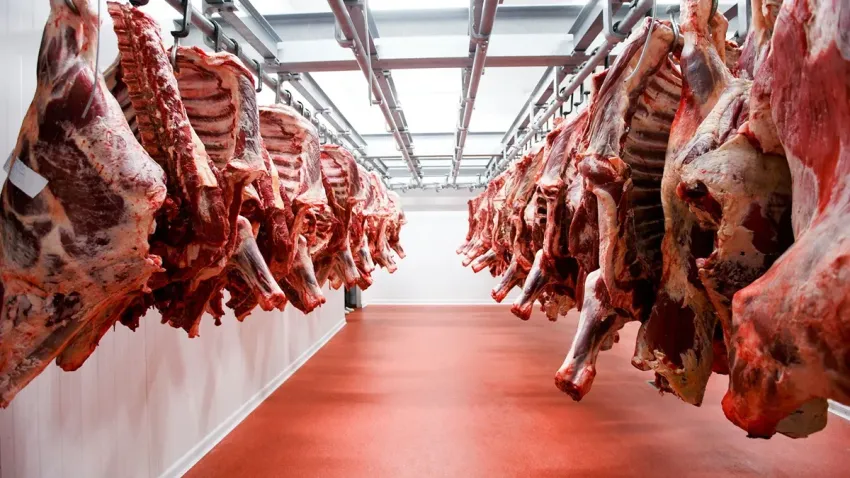 Las exportaciones argentinas enfrentan nuevos desafíos en agosto tras una buena racha en julio