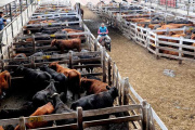 EE.UU. combina récords de consumo e importación con una caída histórica de stocks ganaderos
