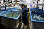 La FAO debate el futuro del comercio pesquero con foco en la sostenibilidad y la 'Transformación Azul'