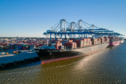 Alianza entre el Puerto de Carolina del Sur y el sector agrícola impulsa las exportaciones de soja