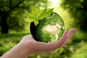 Serman & Asociados y Coralia lanzan una “Estrategia Holística de Sustentabilidad” para el sector energético
