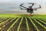 Startups Agrotech impulsan la transformación del sector agrícola en América Latina