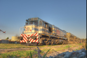 Extensión de Concesiones Ferroviarias y reestructuración del sistema en Argentina
