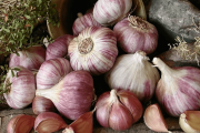 Alarma en Mendoza: Brasil flexibiliza importación de ajo y afecta a productores argentinos
