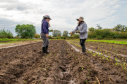 El rol vital de la mujer en el desarrollo del campo argentino