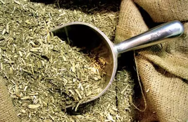 Récord en volumen y tensión en origen: la yerba mate se encamina a un máximo histórico de exportaciones en 2025