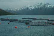 Tierra del Fuego reformó la Ley de Acuicultura con un fuerte resguardo ambiental