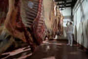 Argentina y China avanzaron en la definición del esquema de distribución de la cuota de 511.000 toneladas de carne vacuna
