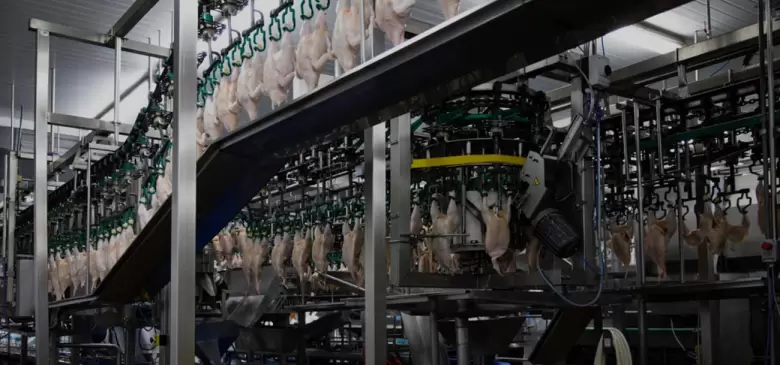 La avicultura argentina cerró 2025 con 2,47 millones de toneladas y casi 50 kilos de consumo per cápita