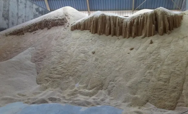 La soja cambia de eje: la industria aceitera vuelve a traccionar el negocio exportador