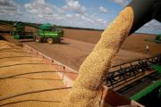 La campaña de maíz 2025/26 se encamina a niveles récord de producción y exportaciones