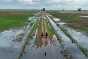 Fuertes lluvias reactivan inundaciones en el centro de Buenos Aires y vuelven los reclamos del sector agropecuario