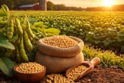 El aumento de fertilizantes y la demanda de biocombustibles impulsan la soja a nivel global
