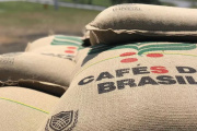 Brasil consolidó su liderazgo mundial en café con 40 millones de sacos exportados y USD 15,5 billones facturados en 2025