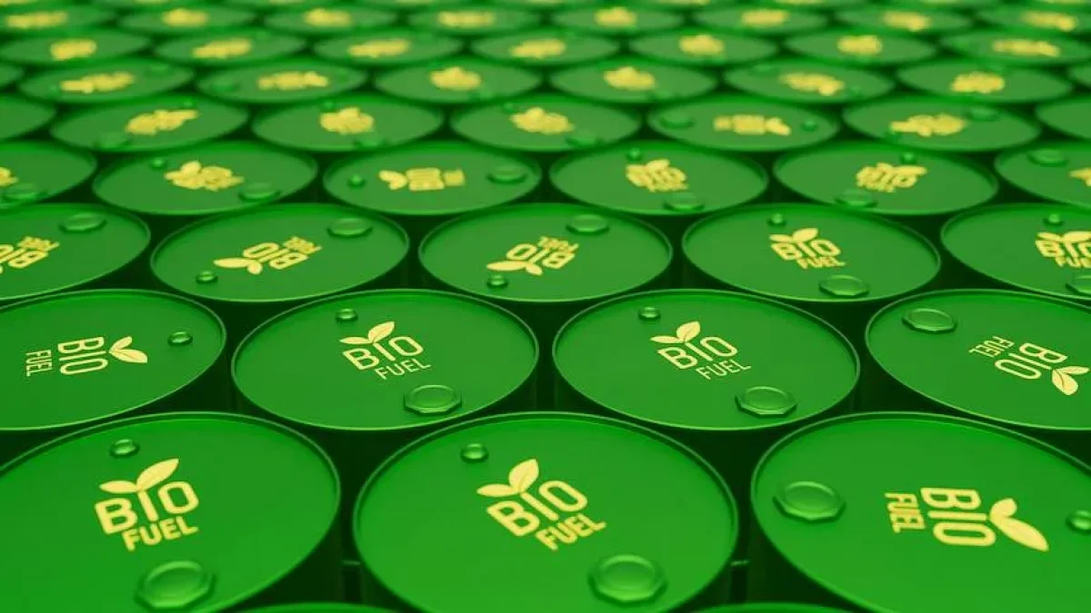 Argentina y Paraguay pidieron revisar la normativa europea de biocombustibles que clasifica a la soja como materia prima de alto riesgo