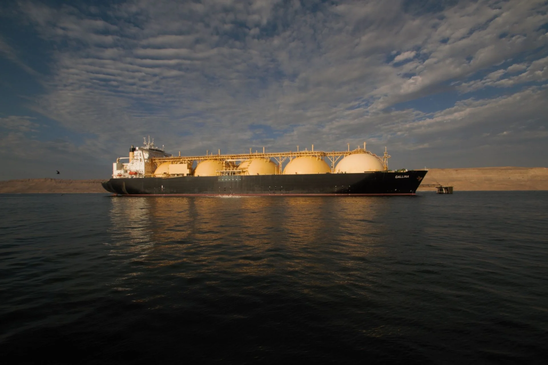 LNG Del Plata da un salto global: Vitol, el mayor trader de energía del mundo, se suma al proyecto de exportación de gas argentino