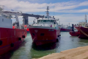 Mar del Plata lidera los desembarques pesqueros de abril con 29.213 toneladas