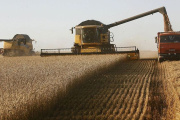 El complejo agroexportador liquidó más de US$ 2.400 millones en abril