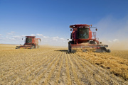 El ICA-ARG registró su primera caída mensual del año en marzo con una baja del 0,1%