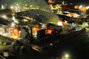Un incendio en la planta de Ricardone de Nueva Vicentin Argentina causó graves daños y suspendió la recepción de girasol