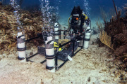 Jan De Nul comenzó a construir una granja de restauración de arrecifes de coral en Maldivas con capacidad para producir más de 15.000 corales en dos años
