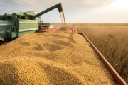 Paraguay exportó 3,9 millones de toneladas de soja en los primeros cuatro meses de 2026