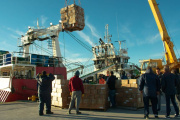 Conarpesa inauguró cámaras frigoríficas en Puerto Rosales con capacidad para 2.000 toneladas