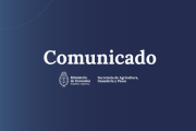El Gobierno Nacional declaró la emergencia agropecuaria en distintas zonas productivas de Mendoza