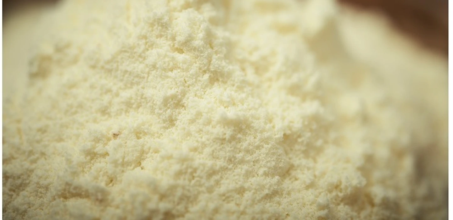 Brasil archivó la causa de dumping contra Uruguay y Argentina por exportaciones de leche en polvo