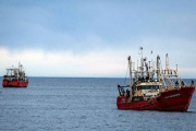 Cambios en el langostino: el Consejo Federal Pesquero suspendió los controles horarios y de velocidad por marea