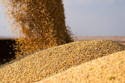 El agro exportó un récord de 50,4 millones de toneladas en los primeros cinco meses del año