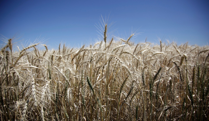 Argentina bate un nuevo récord histórico agroindustrial con el mayor volumen de exportaciones